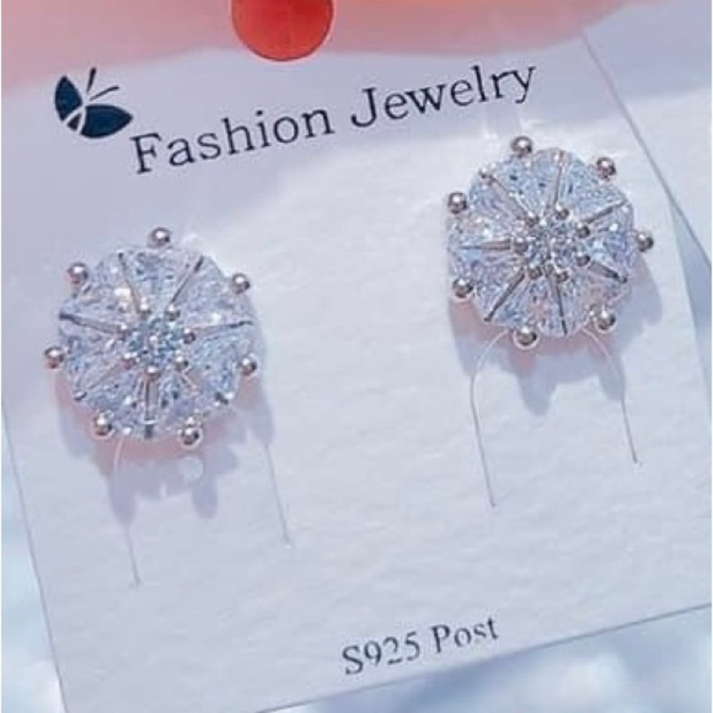 S925 Stering Silver Earrings